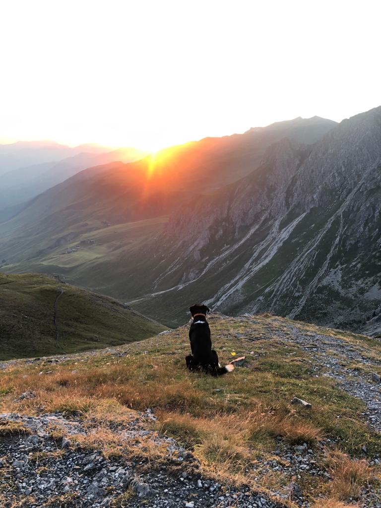 Sonnenuntergang auf dem Gipfel bei Davos